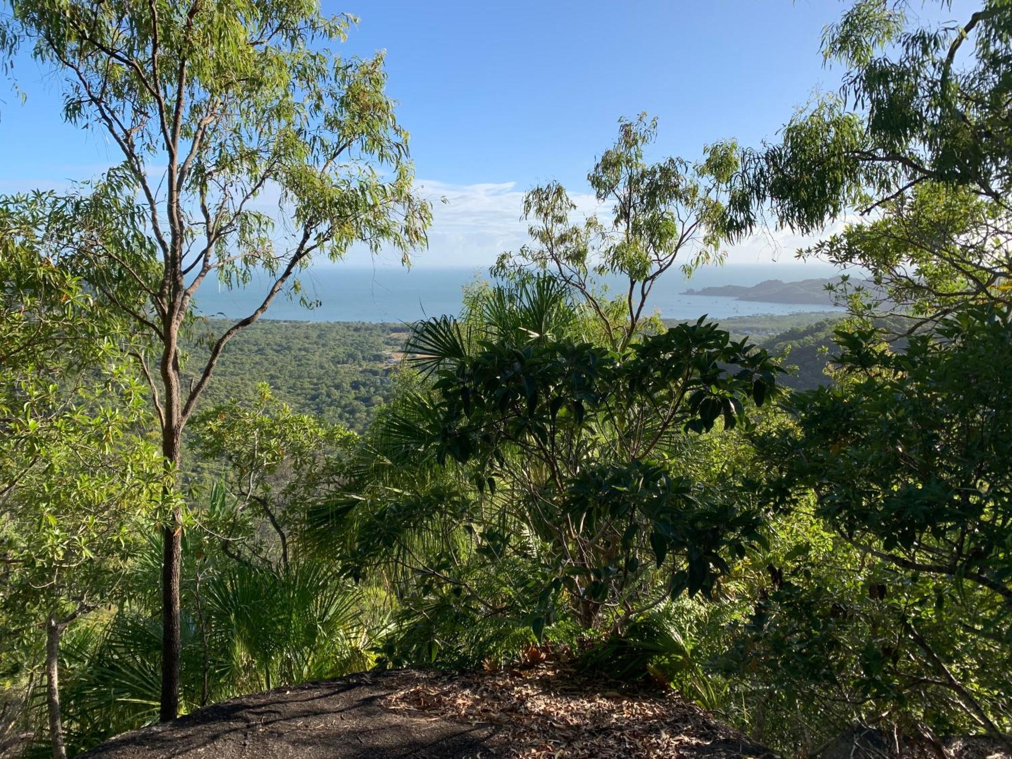 Shambhala Retreat Magnetic Island Cottages Nelly Bay Extérieur photo