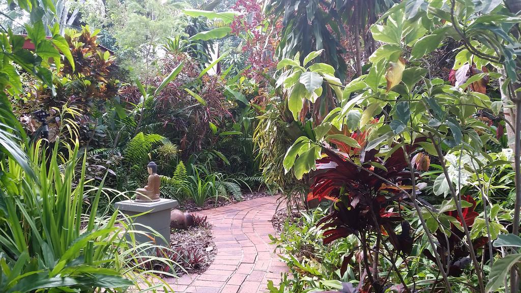 Shambhala Retreat Magnetic Island Cottages Nelly Bay Extérieur photo