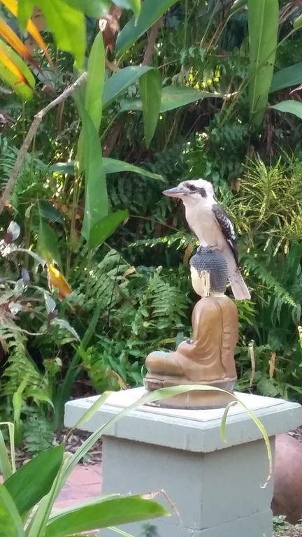 Shambhala Retreat Magnetic Island Cottages Nelly Bay Extérieur photo